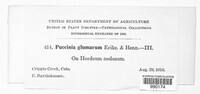 Image Associated With the Occurence